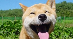 Svjetski dan smijeha:  Ove nasmijane životinje uljepšati će vam dan!