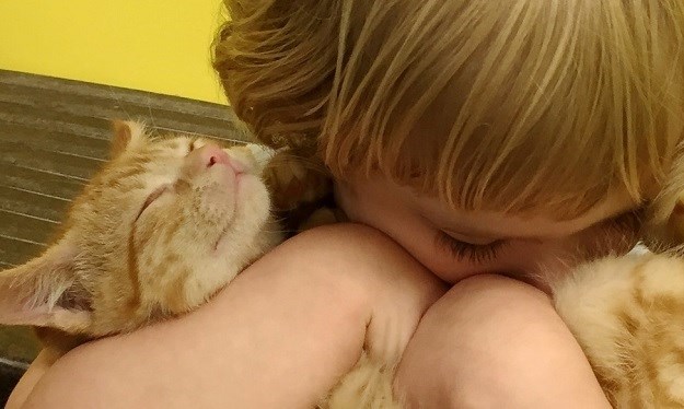 PRESLATKO Napuštena maca i djevojčica u skloništu se zaljubile na prvi pogled