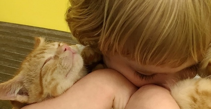 PRESLATKO Napuštena maca i djevojčica u skloništu se zaljubile na prvi pogled