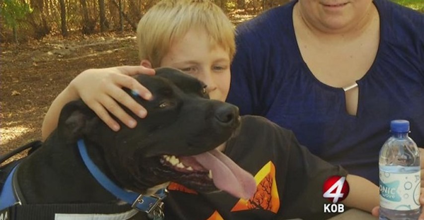 VIDEO Dječaku žele oduzeti terapijskog psa jer nekome izgleda preopasno!
