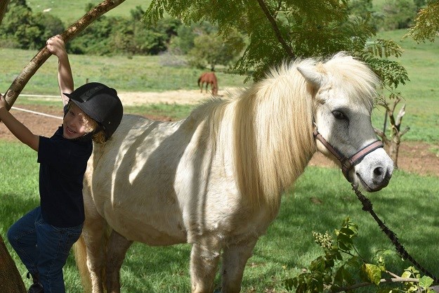 VIDEO Ovako izgleda dječak kojem se ispunila najveća želja - da dobije svog ponija!