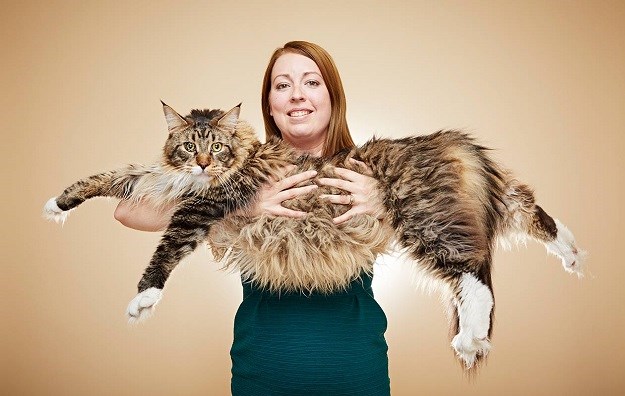NJEŽNI DIV Zove se Ludo i najduža je mačka na svijetu!