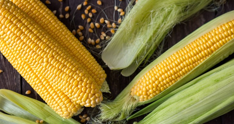Mnogi ne znaju da je dio kukuruza koji uvijek bacaju iznimno zdrav
