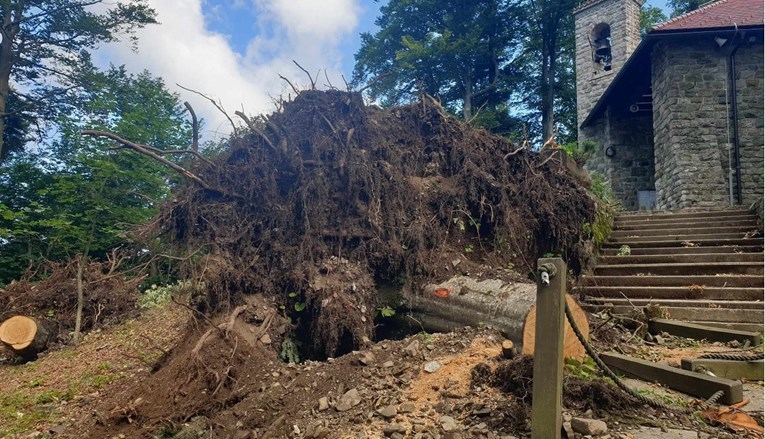 FOTO Ovo su porušena stabla od oluje na Medvednici