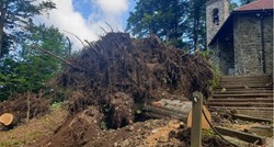 FOTO Ovo su porušena stabla od oluje na Medvednici