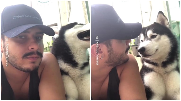 VIDEO Glasno dahtao svom haskiju u lice, reakcija psa je sve