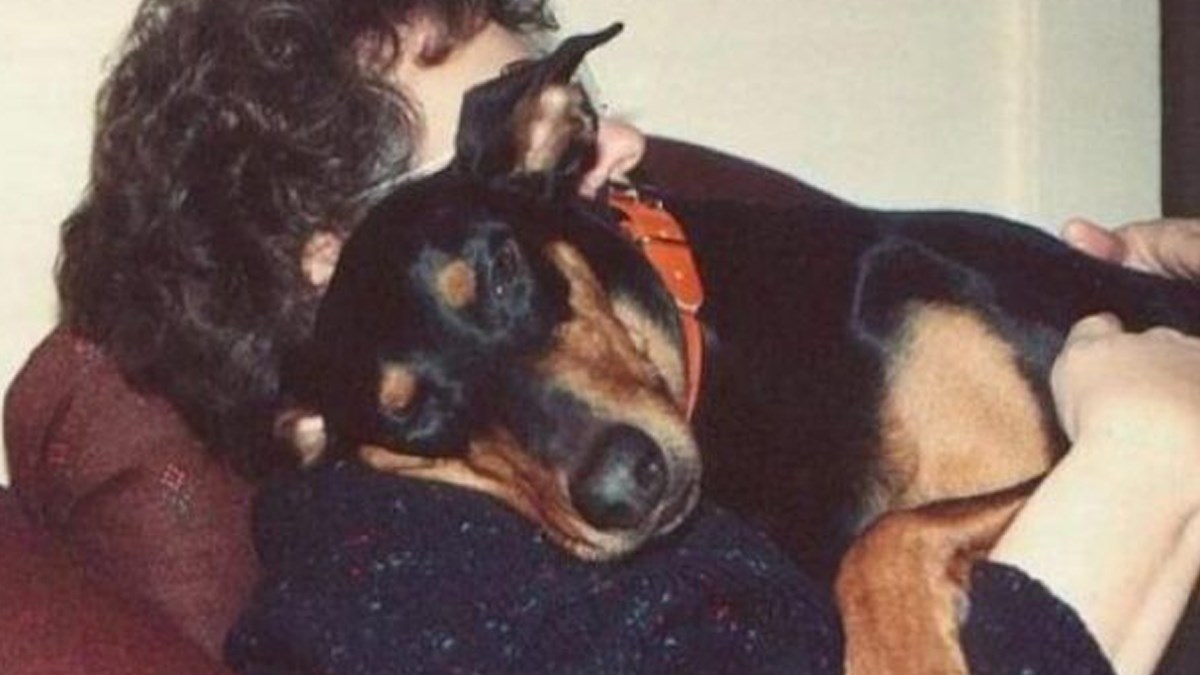 10 svakodnevnih stvari kojima nam psi uljepšavaju život i čine nas sretnima