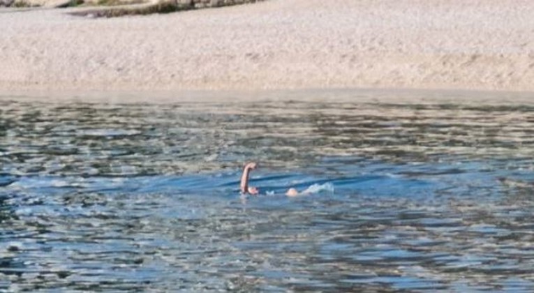 Fotka iz Splita postala hit na Fejsu: "Jebali vas virusi"