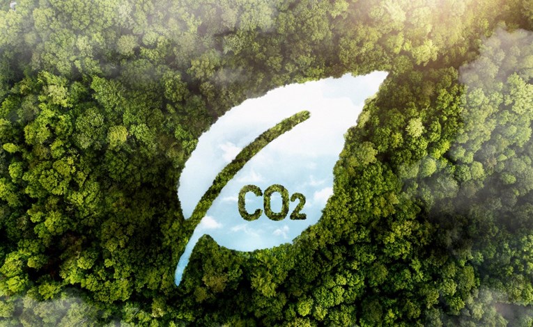 Kako izračunati svoj ugljični otisak: Korak prema odgovornijem odnosu prema planetu