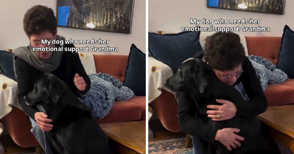 Baka pjevanjem tješi labradoricu koja se boji vatrometa, preslatke su 🥹