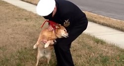 Ponovni susreti pasa i vlasnika koji su se vratili iz vojske mogli bi vas rasplakati