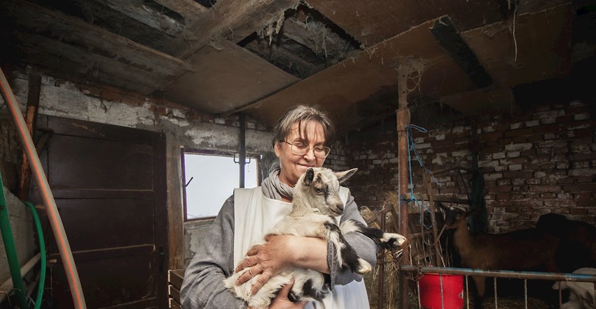 INDEX ŽELJA Tatjana ima farmu udomljenih životinja kod Petrinje. Kuća joj je uništena