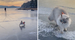 Mačka stala na led pa uživala kao nikad u životu