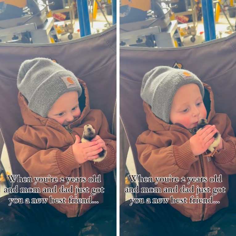 Roditelji dvogodišnjaku dali da drži pile. Ono što je dječak učinio dirnulo mnoge