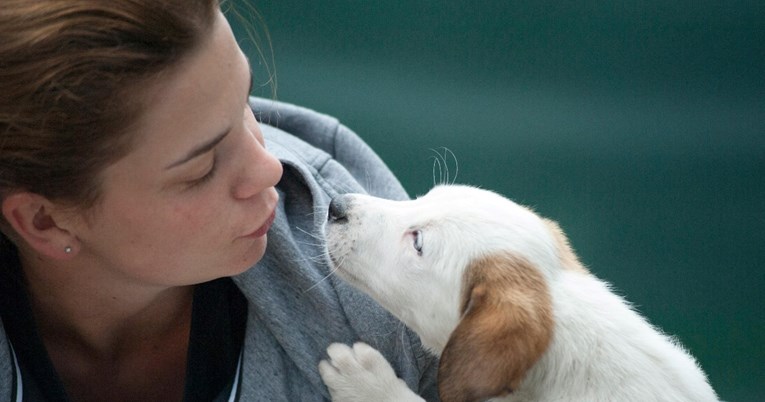 Zašto svog psa volite kao dijete? Odgovor se krije u znanosti