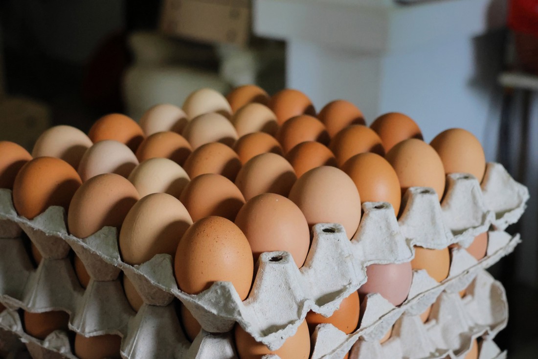 Preporuka nutricionista: Koliko jaja smijete pojesti u tjedan dana?
