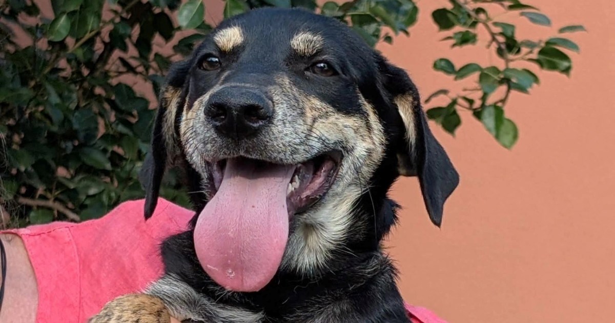 Mlada Karolina nikad nije imala dom ni svoje ljude. Pomozimo da se to promijeni