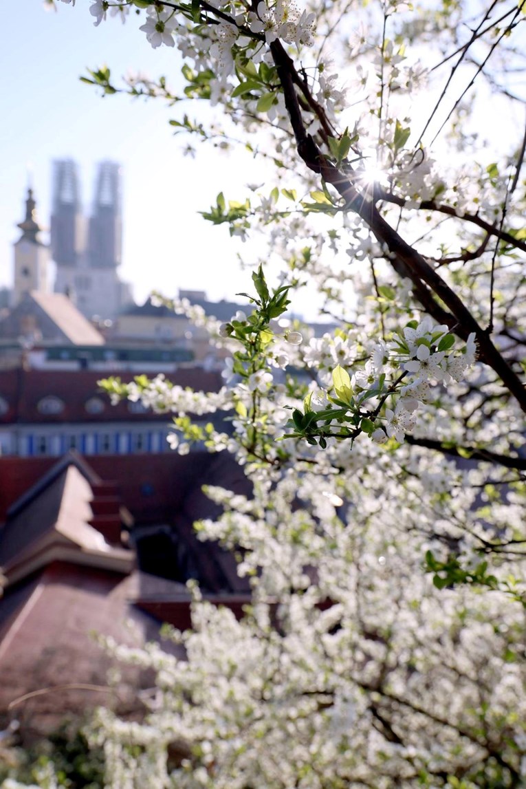 Stiglo nam je proljeće 😊🪷🌸