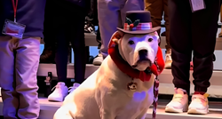 Gluhi pas bio je zvijezda na božićnom koncertu u školi, ali njegova faca govori sve