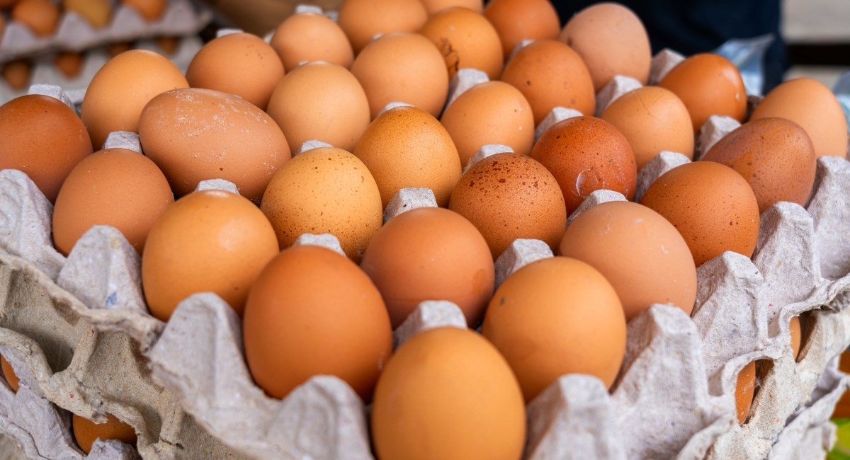 Gdje kupujete jaja? Evo stvarne razlike između onih domaćih i iz dućana
