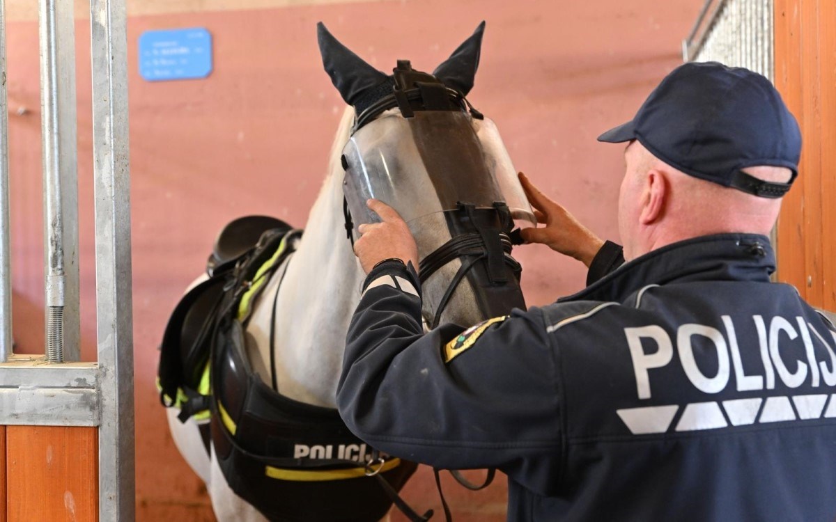 Božinović o uvođenju policijske konjice: Optimist sam ako se ispune svi preduvjeti