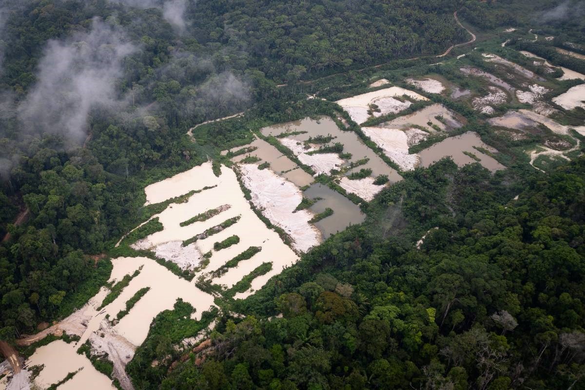 Amazonija izgubila područje veće od Španjolske u 40 godina