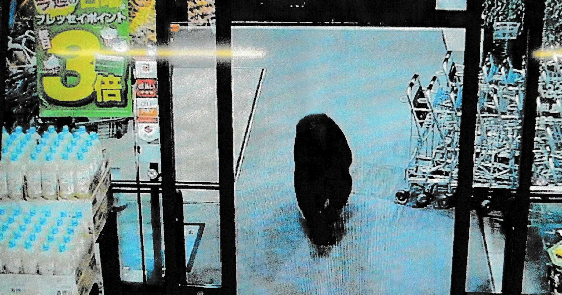 Japan na divlje medvjede poslao vojsku