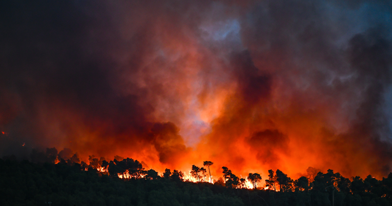 Uoči golemog požara u Francuskoj raskopani su brojni vinogradi