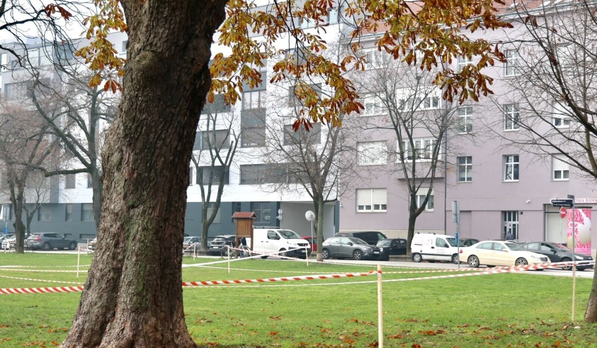 Uskoro kreće prodaja borova, evo kakvo je stanje