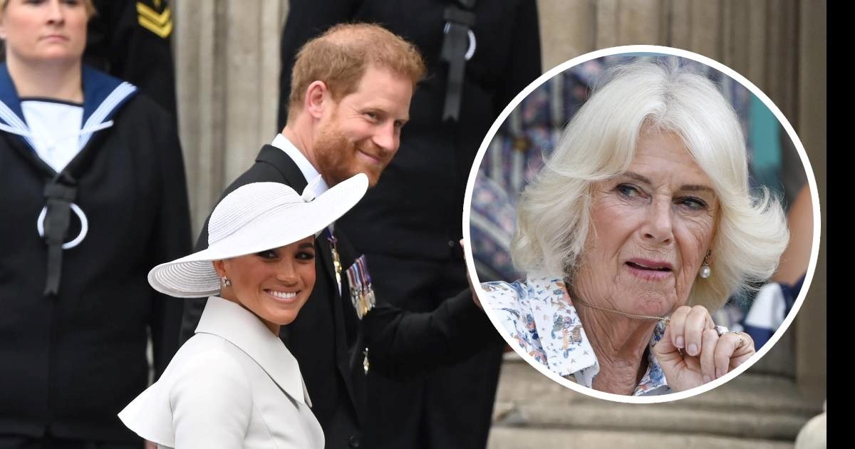 Harryjev glasnogovornik: Tvrdnje o Meghan u novoj biografiji su suluda teorija zavjere