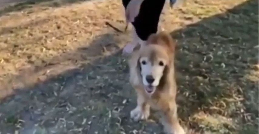 Pogledajte dirljivu reakciju slijepog psa kad vlasnika prepozna po mirisu
