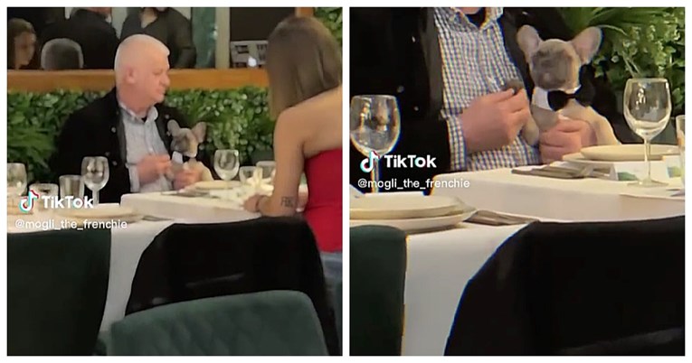 1.7 milijuna pregleda: Ovaj psić uživao je u restoranu baš poput pravog gospodina