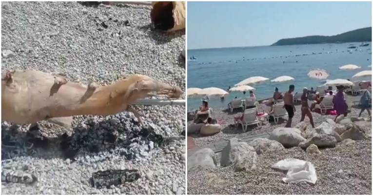 VIDEO Nevjerojatna scena: Na plaži u Crnoj Gori pored kupača okretali janje
