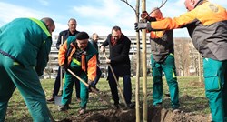 Tomašević u parku koji je Bandić htio posjeći zasadio 5000. novo stablo u Zagrebu