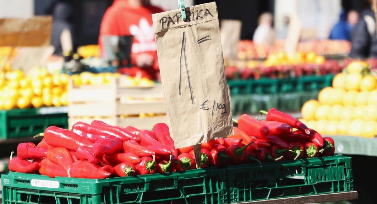 Na Dolcu smo kupili kilogram paprika za 1 euro. Ova jela od njih pripremamo