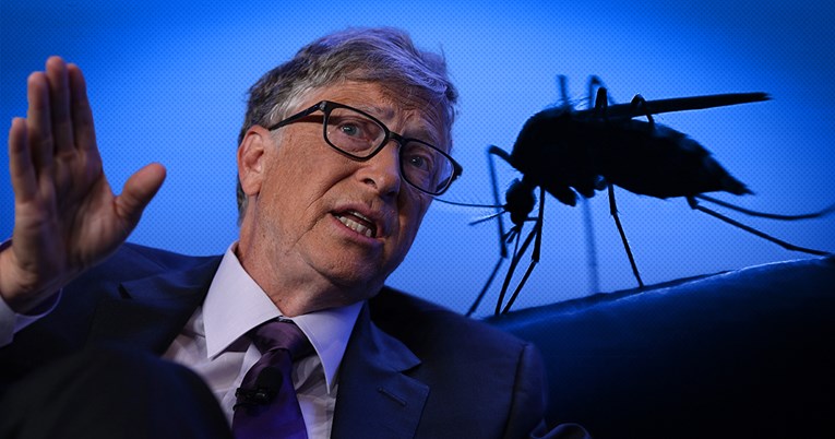 Bill Gates: Najsmrtonosnija životinja na svijetu nije otišla na odmor u pandemiji