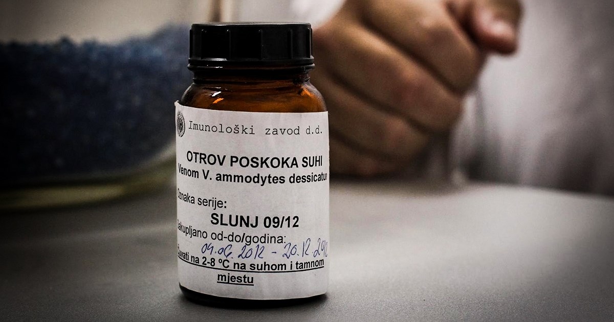 Stiže sezona i s njom češći ugrizi zmija. Imamo li dovoljno doza protuotrova?