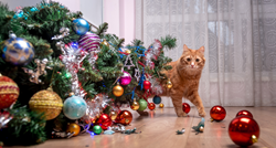 Kako spriječiti mačku da se popne na božićno drvce