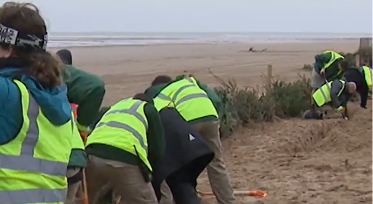 Englezi zakapaju tisuće božićnih drvaca u pijesak na plaži. Ne rade to bez razloga