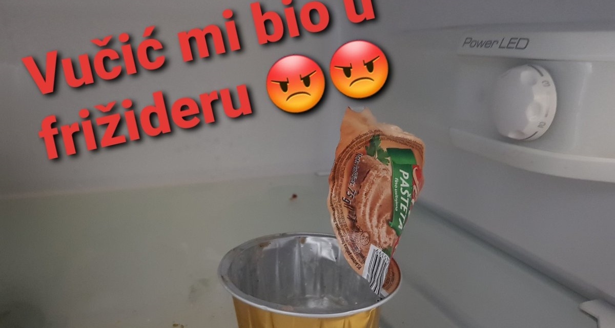 Regija sprda Vučića zbog spota s frižiderom: "Ovaj lik je idealan za trash horore"