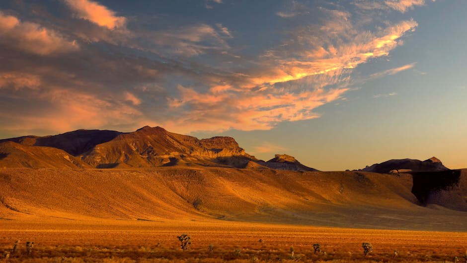 U pustinji kod Las Vegasa nađene ogromne hrpe pepela. "Radi se o ljudskim ostacima"