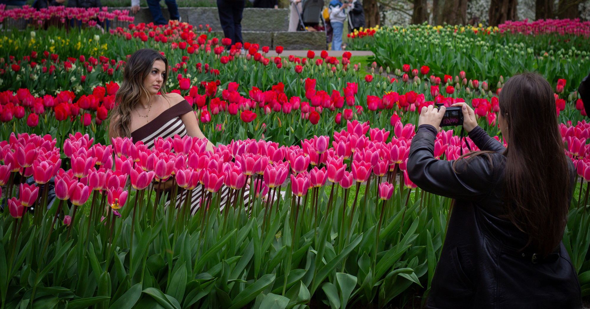 Tulipani su procvjetali u jednom od najvećih cvjetnih vrtova na svijetu