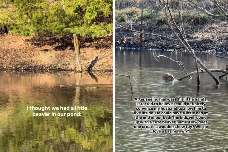 Žena je mislila da u ribnjaku ima dabra, no onda su uslijedile loše vijesti