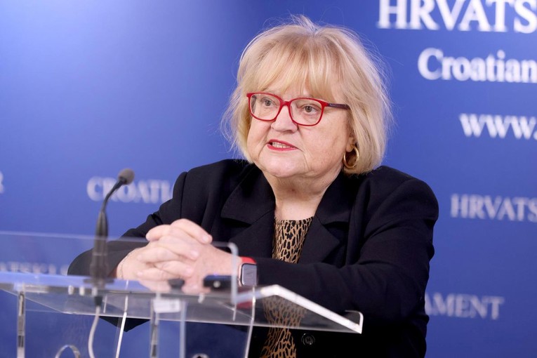 Mrak Taritaš: Koja je to tema kojom se Dabro bavio u Saboru? Nijednom