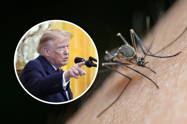 Trump želi 90 posto manje komaraca. Razmatra sterilizaciju i genetske metode