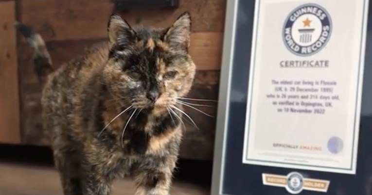 Flossie (26) službeno je najstarija mačka na svijetu