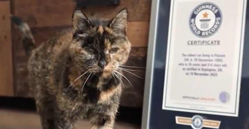 Flossie (26) službeno je najstarija mačka na svijetu