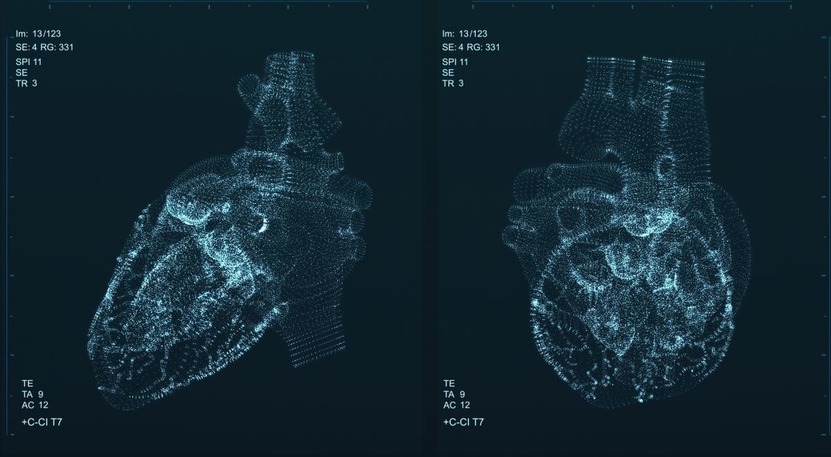 Revolucionarno: Jednom injekcijom zacijeljeno srce nakon srčanog udara
