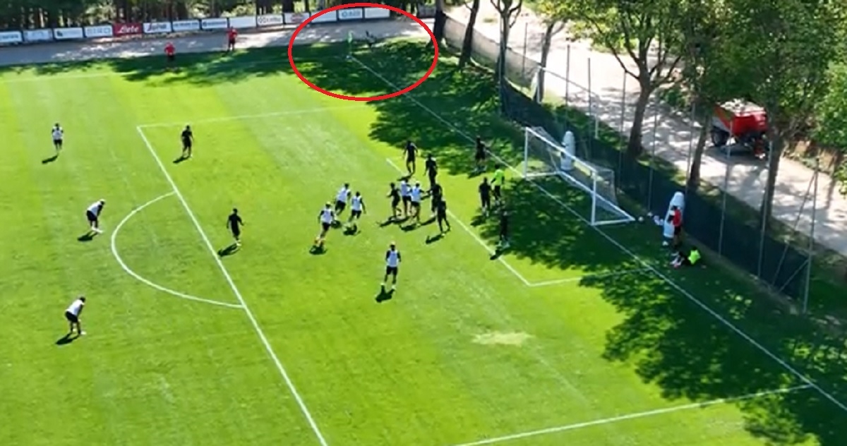 Pogledajte fenomenalan gol Ante Rebića izravno iz kornera. Suigrači oduševljeni
