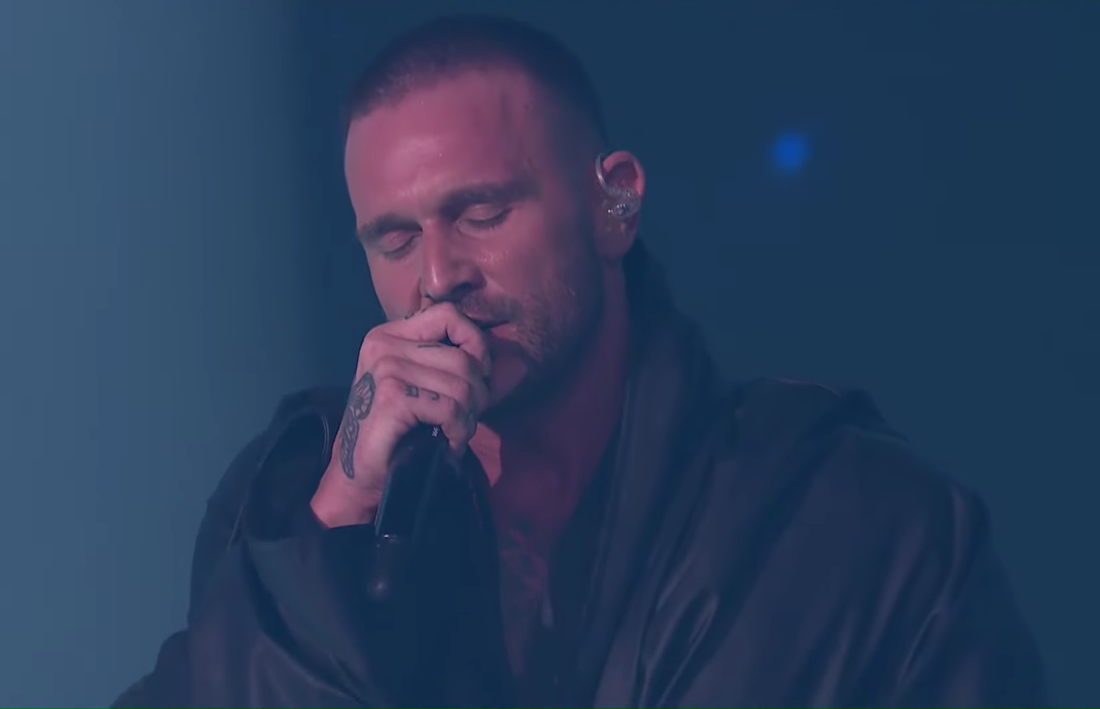 Luka Nižetić pjevao u revijalnom dijelu druge večeri Dore. Kakav vam je bio nastup?